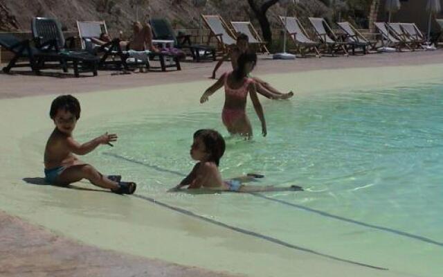 Carrera Della Regina