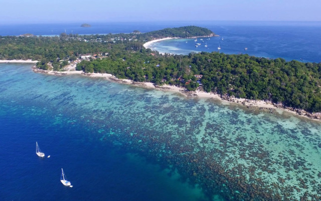 The Cliff Lipe