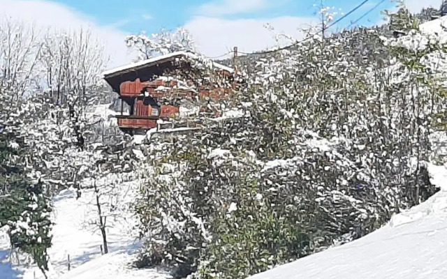 Mountain chalet