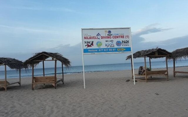 Blue Whale Nilaveli