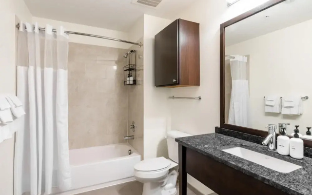 Kasa Inviting Studio Work Friendly Alexandria