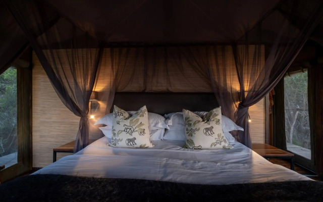 HillsNek Safari Camp - Amakhala Game Reserve