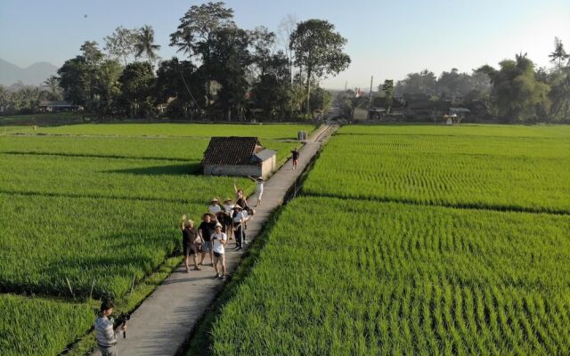 BAKUNGAN diJero Homestay
