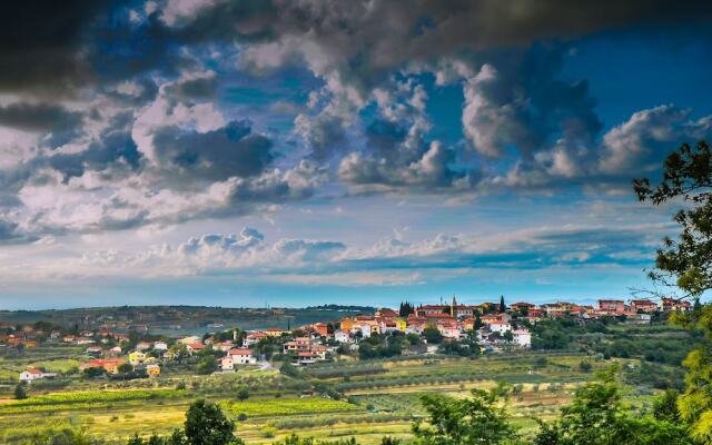Wine & Apartment VINALES