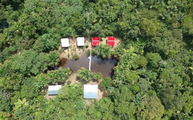 Friends of The Amazon Jungle Lodge