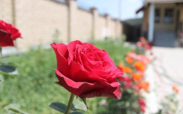 The Zhibek-Zholu Guest House