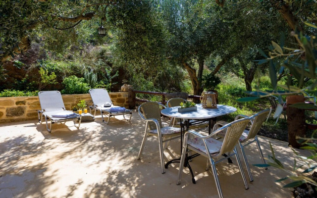 The Olive House