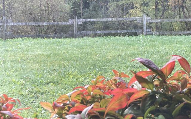 Albergo Ristorante Lis Aganis