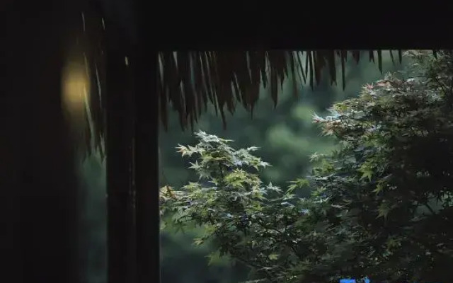 Xiang·Stay Homestay (Xingyi Wanfenglin Branch)