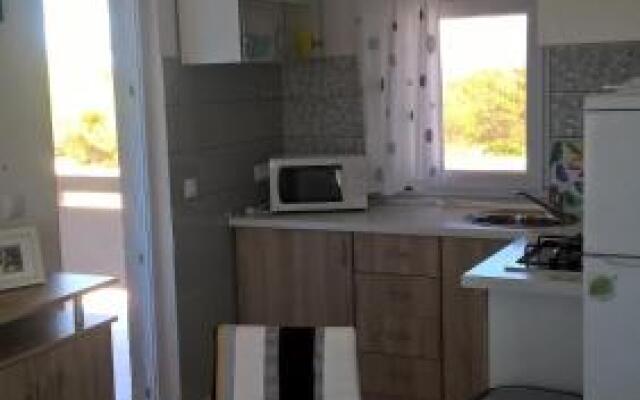 Apartment Kamelija