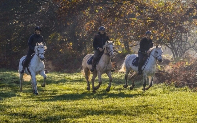 Au Charme du Lac Piscine & Spa 2