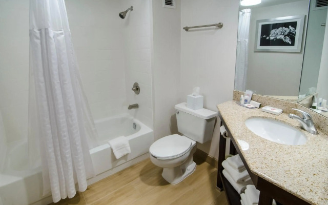 Comfort Inn Raleigh Midtown