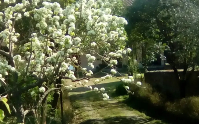 Agriturismo I due Falcetti