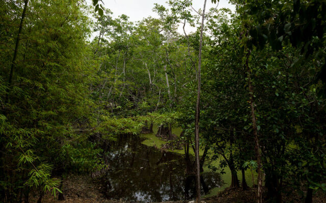 Cenote Popol Vuh