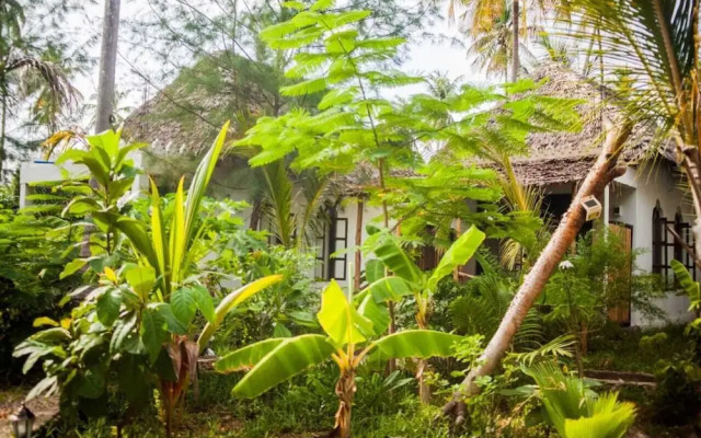 Dreamland Bungalows Michamvi Kae
