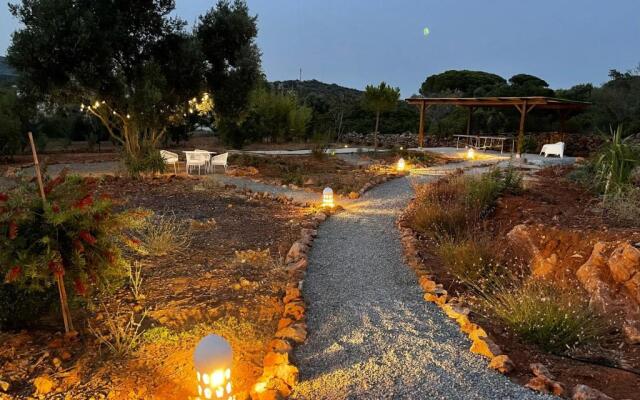 Casa Colinas Roxas by Portucasa