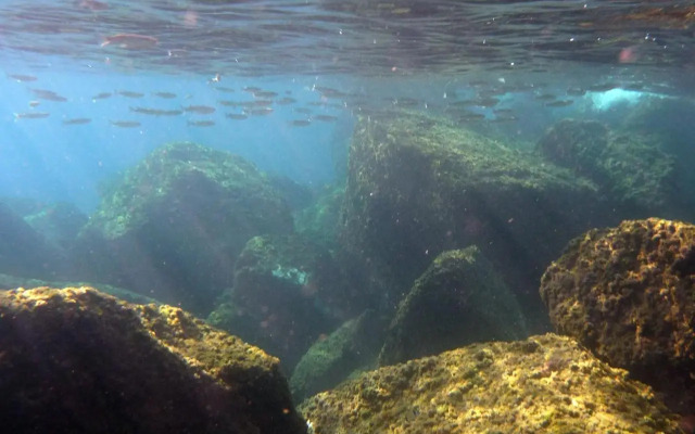 Appartamenti La Quiete