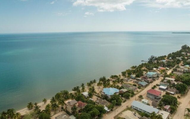 Buttonwood Belize