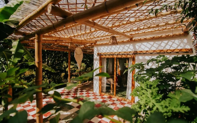 The Seed Habitat