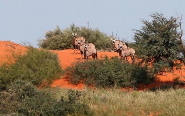 Camelthorn Kalahari Lodge