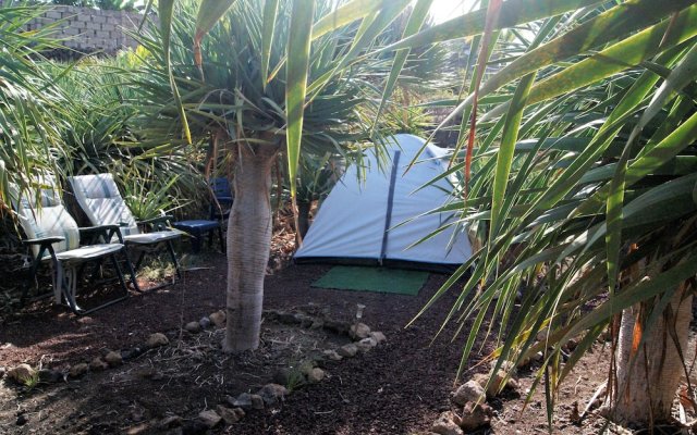 Agro Camping Invernaderito