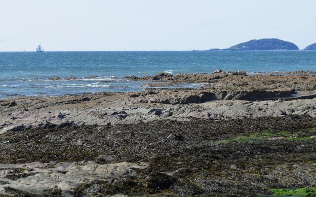 Looe Island View