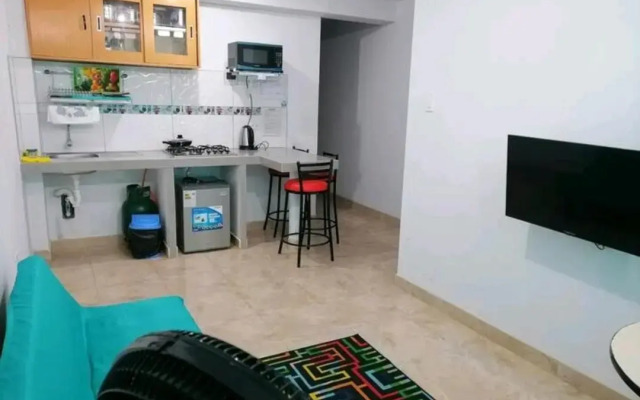 Departamento-Bolognesi B1