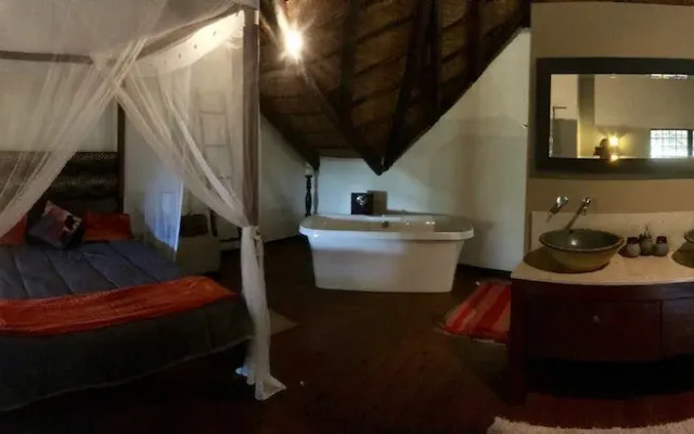 Rhinos Rest