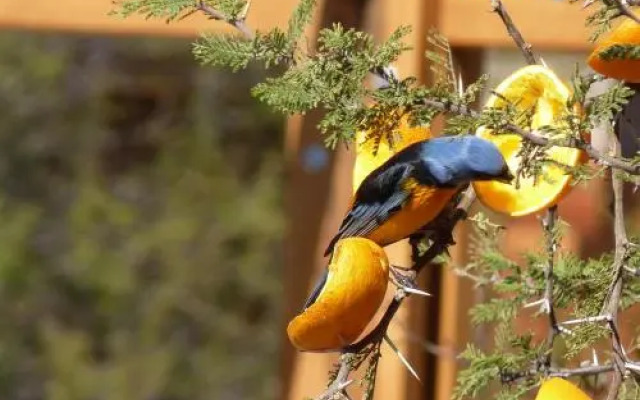 Complejo Pasos Malos