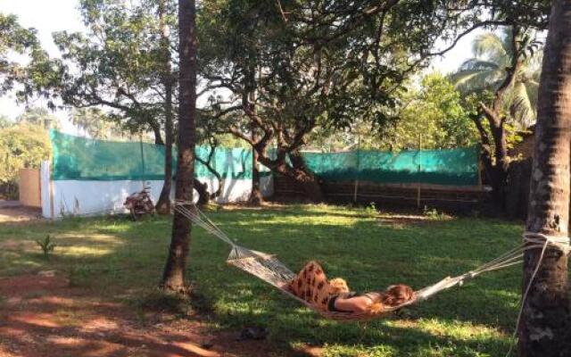 The Lazy Llama Hostel