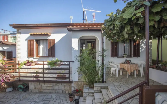 Apartment Carla / One Bedroom A1