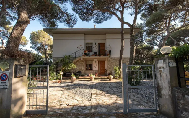 Sinfonia Toscana: Natura e Arte