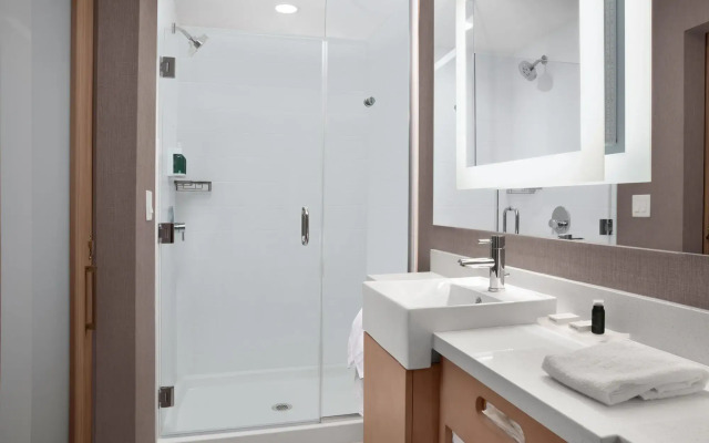 SpringHill Suites by Marriott Orlando Theme Parks/Lake Buena Vista