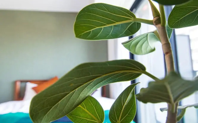 Riviere Champ Hotel & Residence