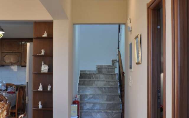 Anastasias House, Zipari