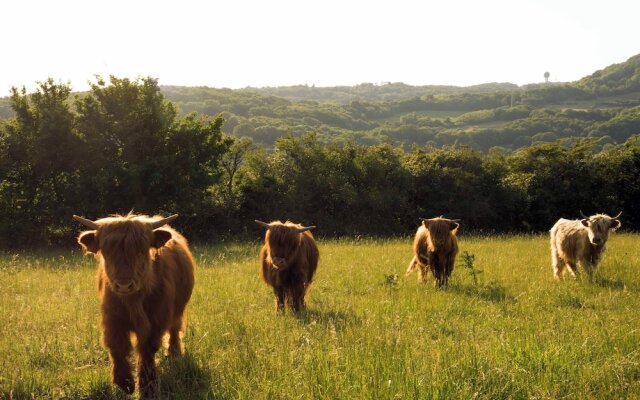 Domaine Les Lanternes
