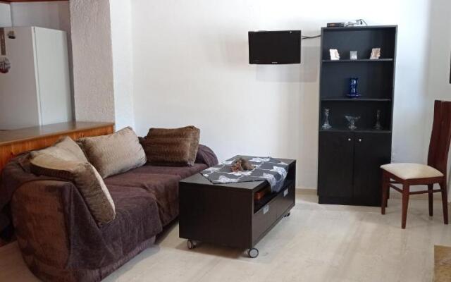 Ευρύχωρο και άνετο διαμέρισμα στην Ιτέα Joanna's Apartment