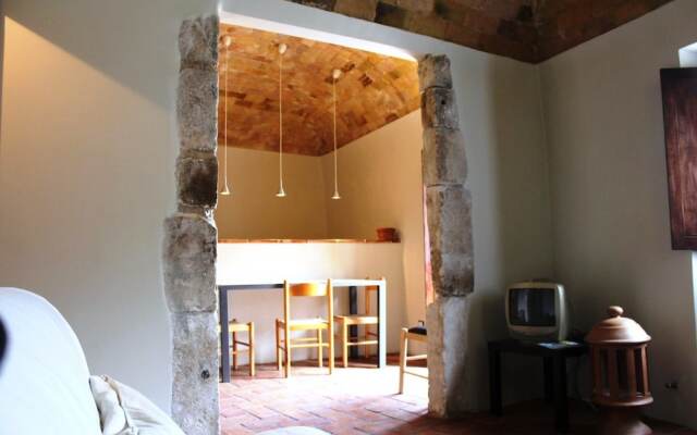 Orso - Parco Nazionale d'Abruzzo