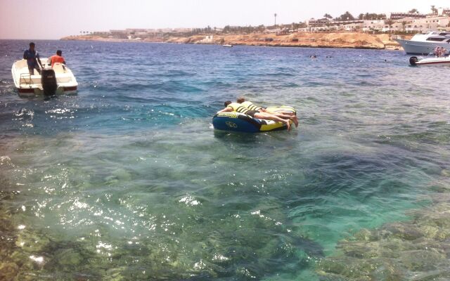 Shark Bay Oasis