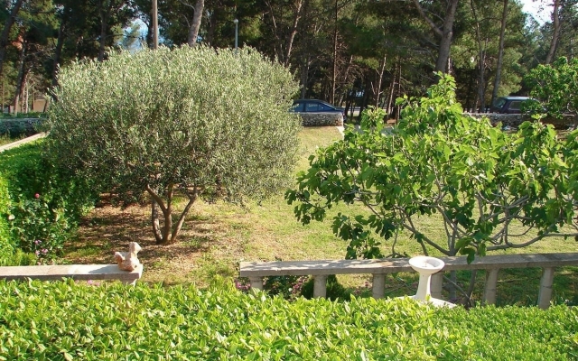 Apartment Marija - 2 bedrooms: A3 Bol, Island Brac