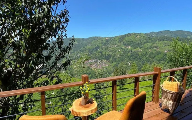 Şeni Bungalov