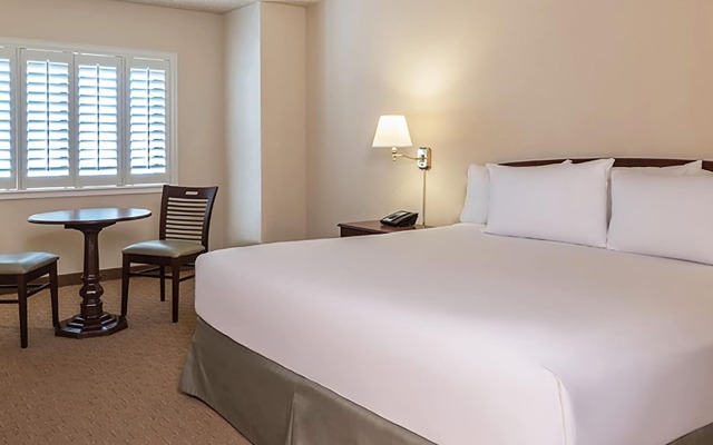 Tropicana Laughlin - A Caesars Rewards Destination