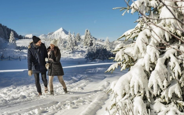 Hotel Zehnerkar & Hotel Obertauern
