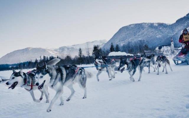 Zu Hause in Tirol