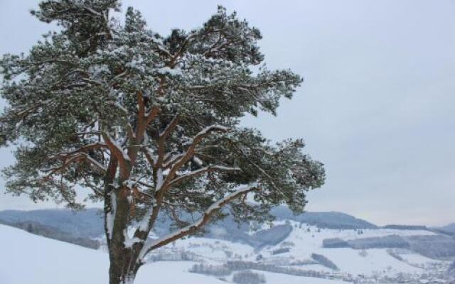 Landgasthof zum Schützen