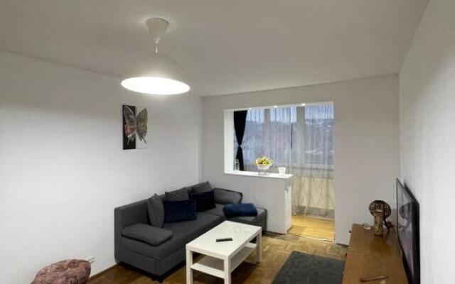 Breaza Central Apartment