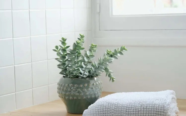 Deauville Serenity - Spacieux Chic Place Morny