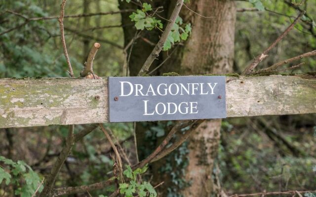 Dragonfly Lodge