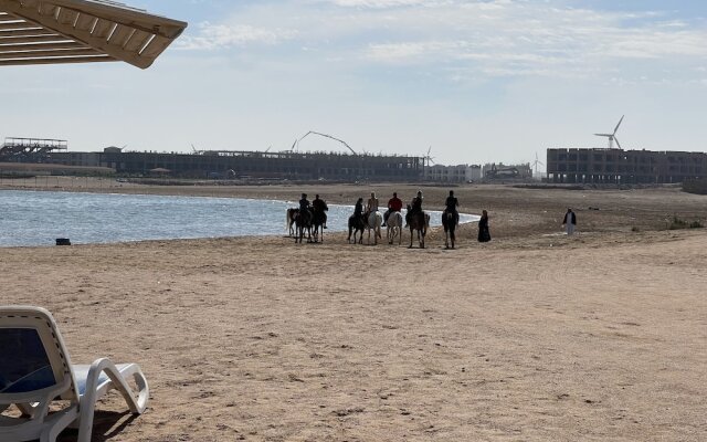 Beautiful 1-bed Apartment