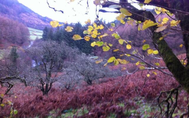 Bryncelyn Guesthouse
